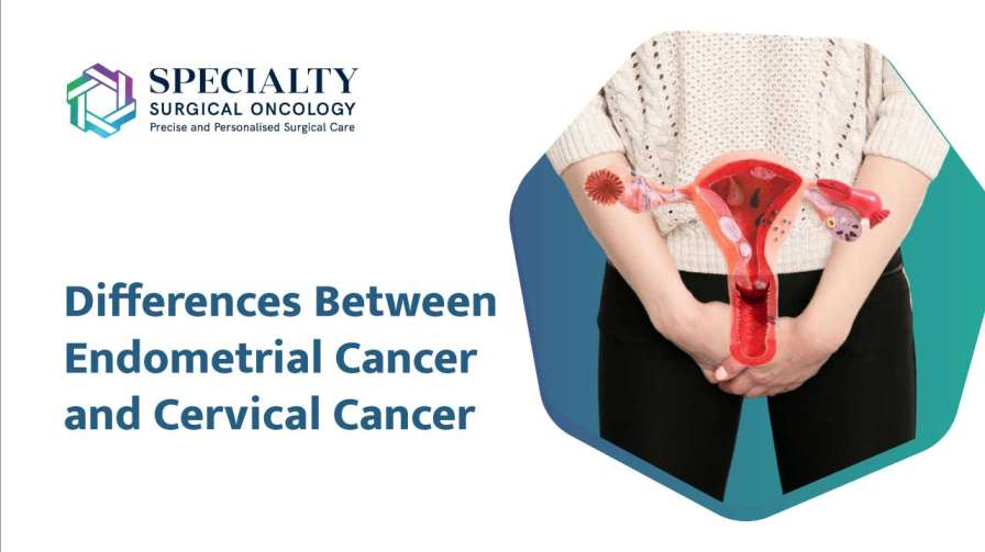 Difference Between Endometrial and Cervical Cancer