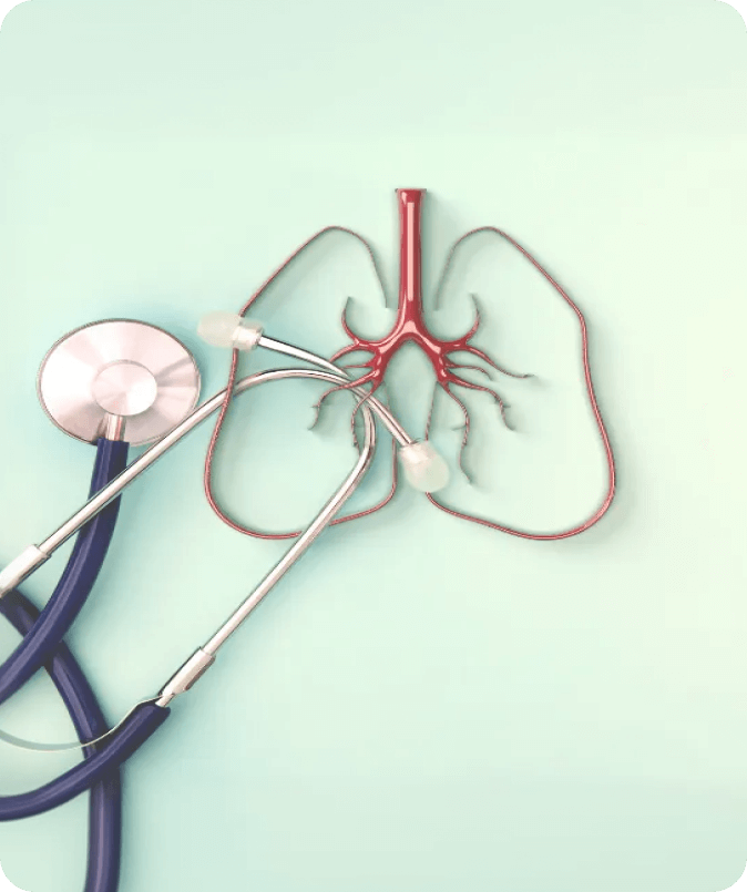 Frame 22801 (10) (1)