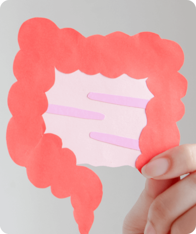 Frame 22801 (12) (1)