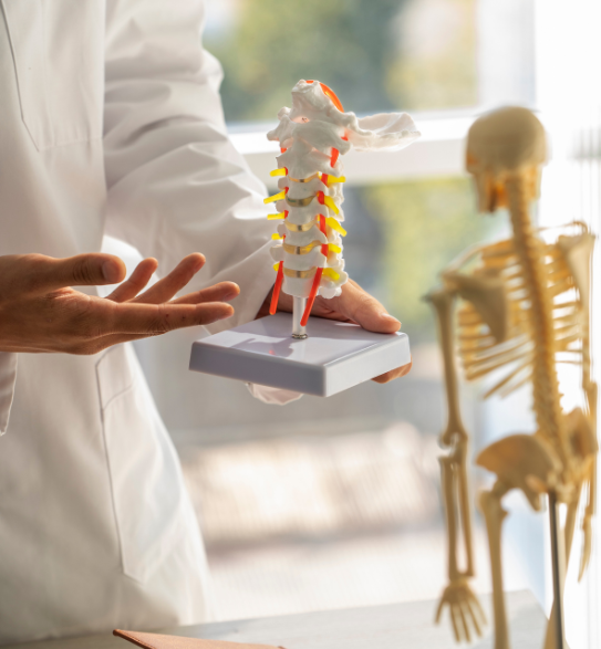 Bone Cancer 2