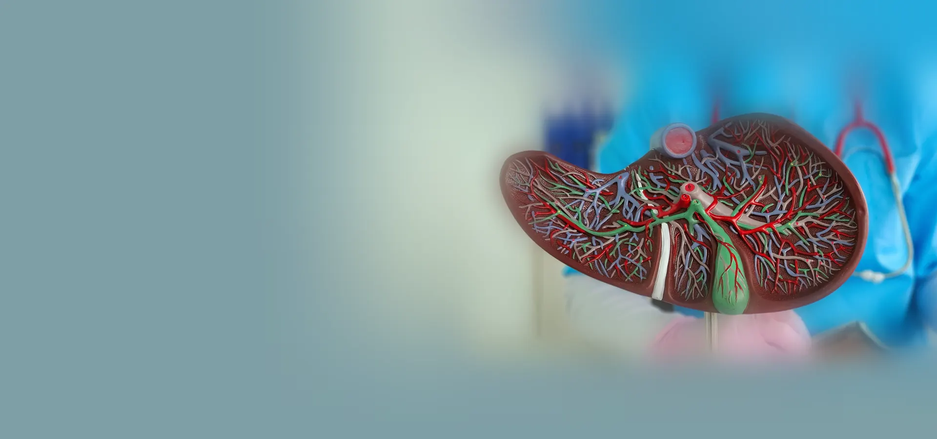 High-resolution liver / hepatobiliary oncology image. Minimum 1920 × 900 px, JPG/PNG.